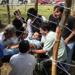 Actividades de integración